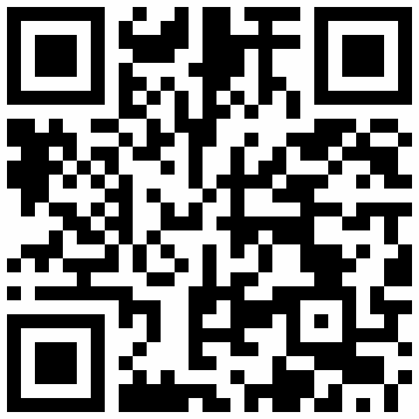 QR-Code: http://oderwww.land-der-ideen.de/projekt/4security-1853