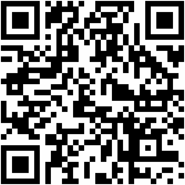 QR-Code: http://oderwww.land-der-ideen.de/projekt/partners-in-leadership-2065