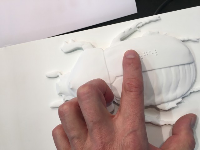 Ein taktiles Bild, ergänzt um Braille und Audiodeskription.